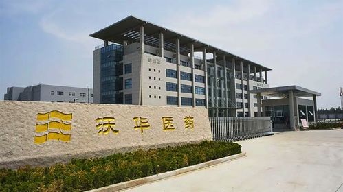 沃華醫藥2024年上半年繼續下跌,具體表現出了哪些問題